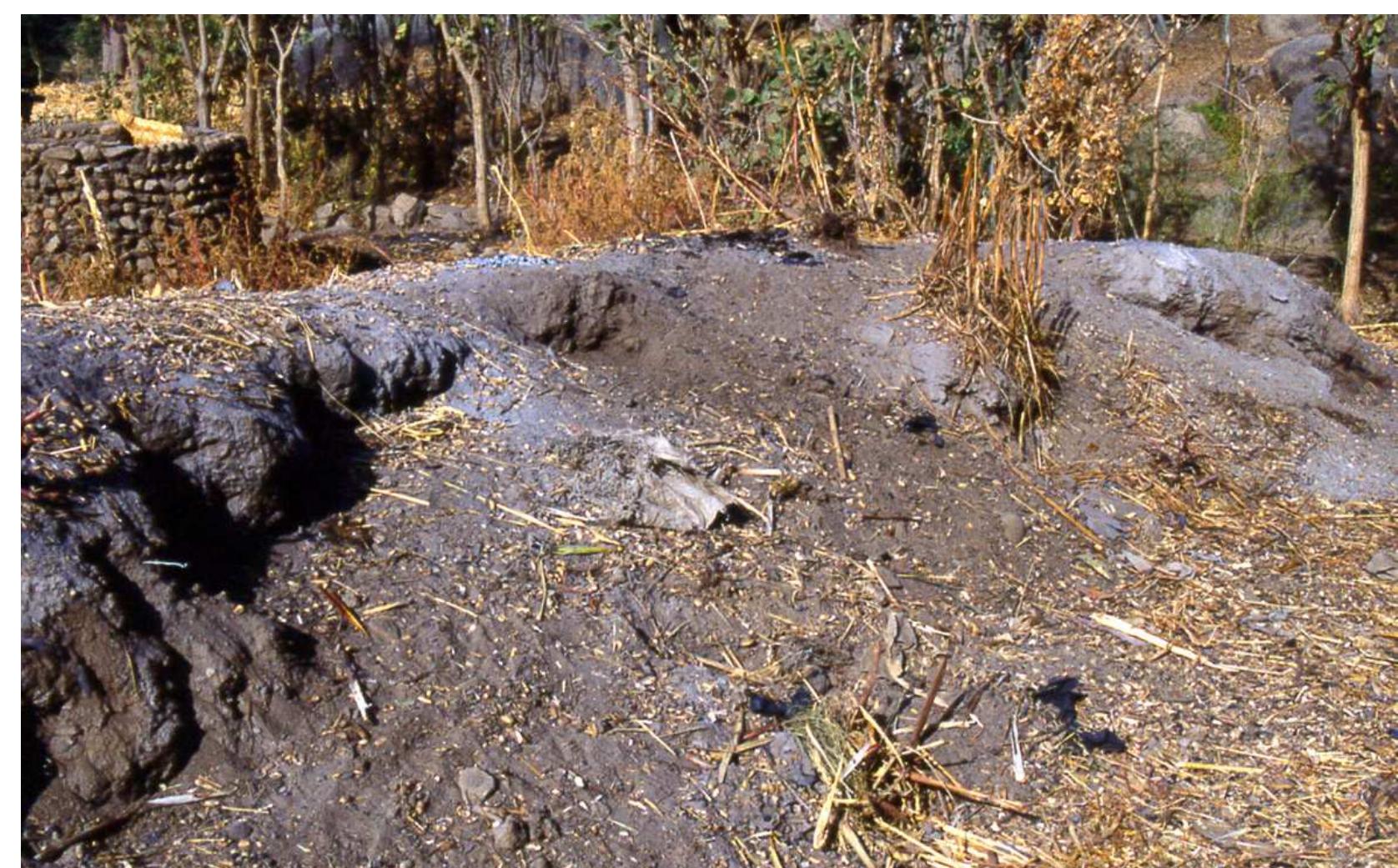 Midden Evidence (PDF) The Hidi Midden excavation: Ethnographic figures