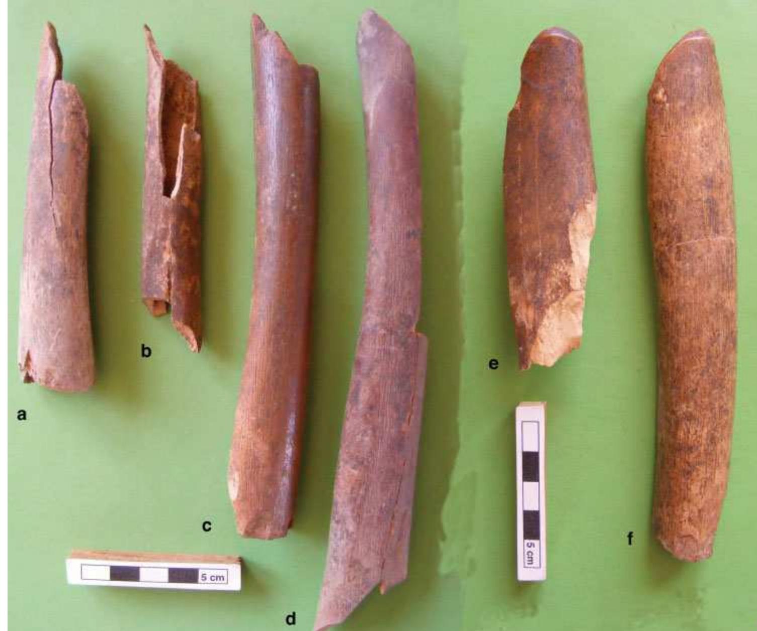 Figure 10 Human bone tools from Area EM. 