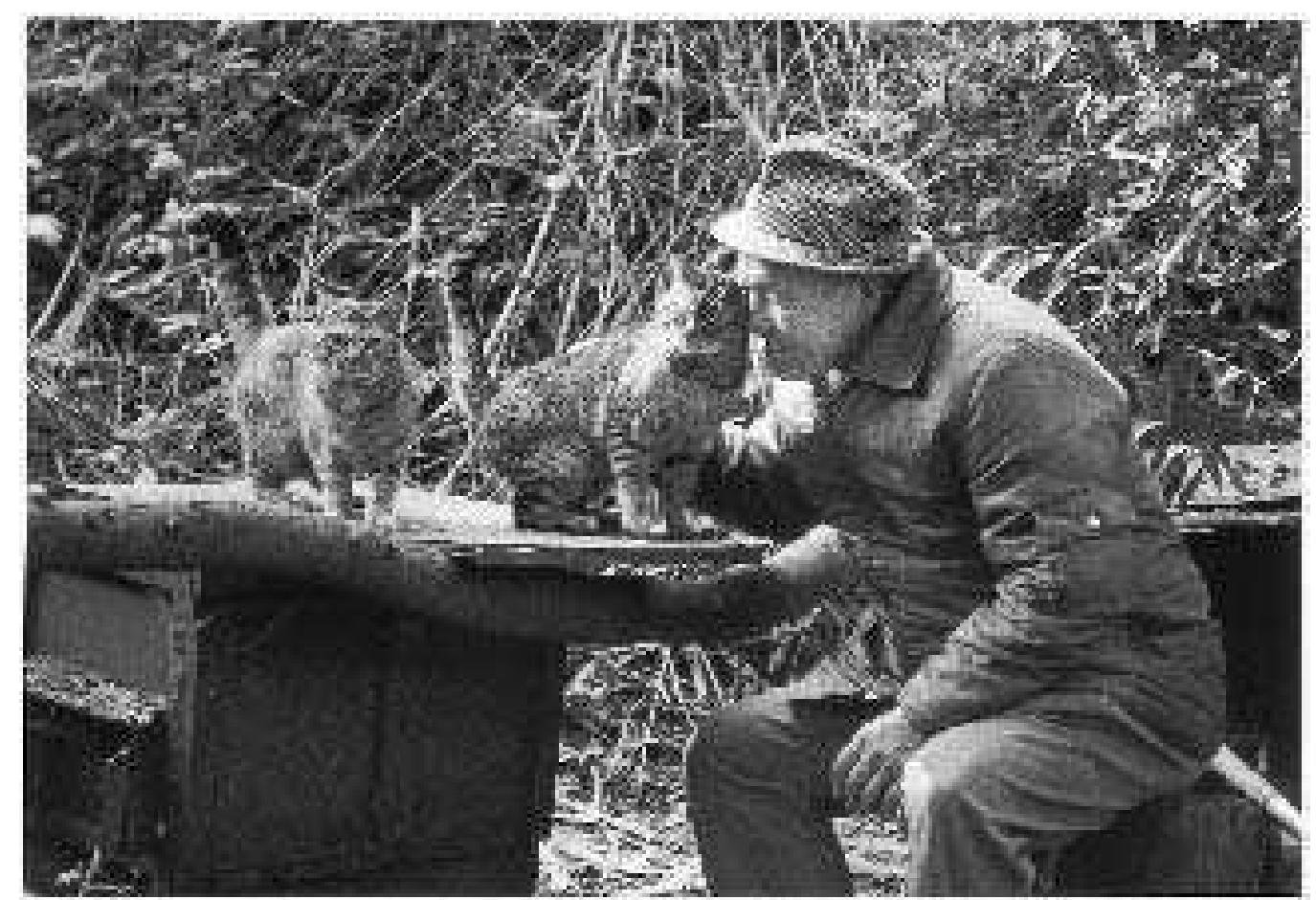 PDF) Encyclopedia of Animal Rights