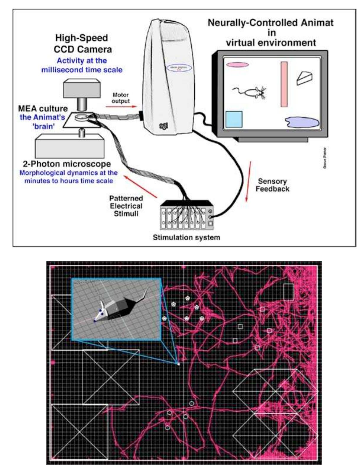 Tissue and engineered systems. we envision a future in which