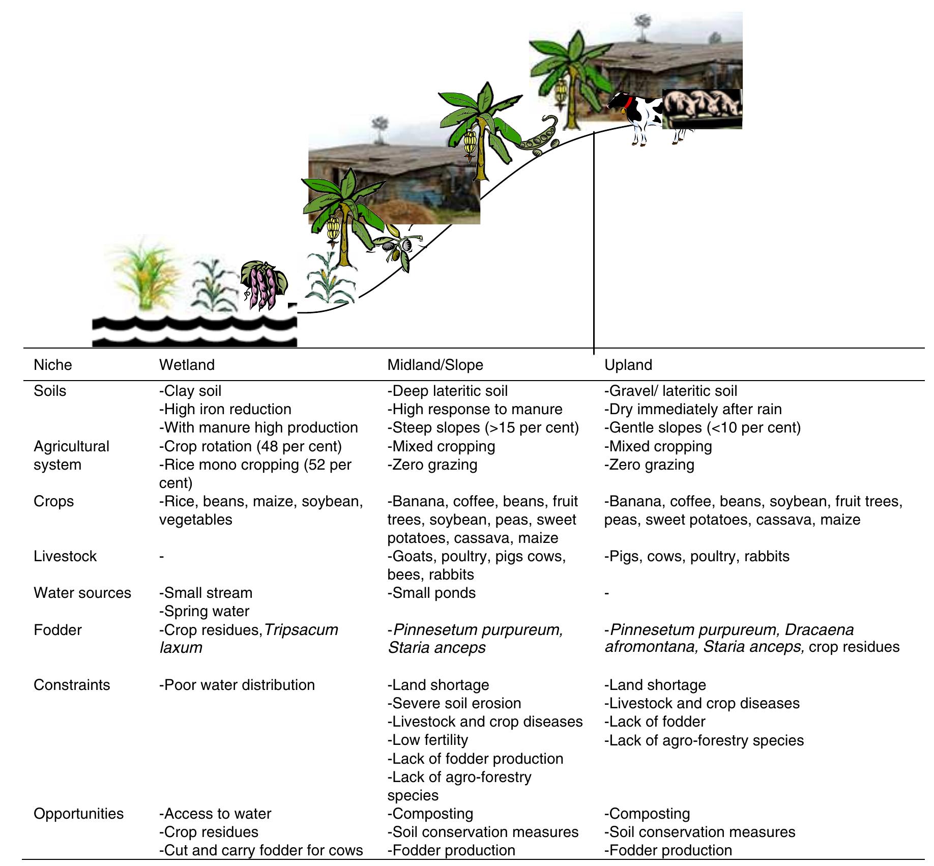 (PDF) FARMERS' KNOWLEDGE AND PERCEPTION OF AGRICULTURAL WETLAND ...