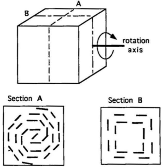 30 schematic representation of how the inclusion patterns