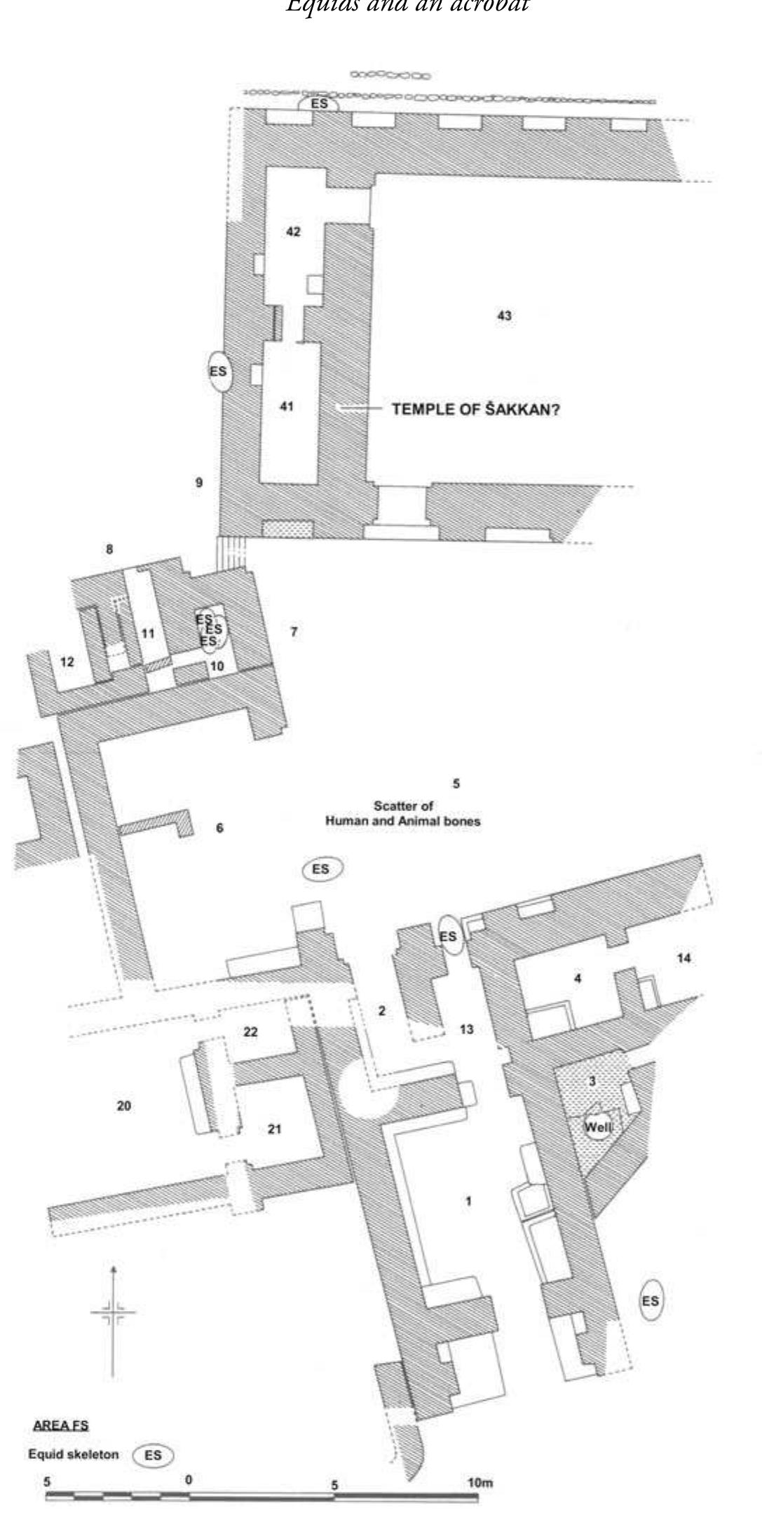 Figure 2. Plan of the Level 5 Area FS building at Tell Brak, which includes a temple (rooms 41, 42) and large courtyards associated with the breeding of, and trade in, hybrid equids, believed to be a donkey-onager cross. 