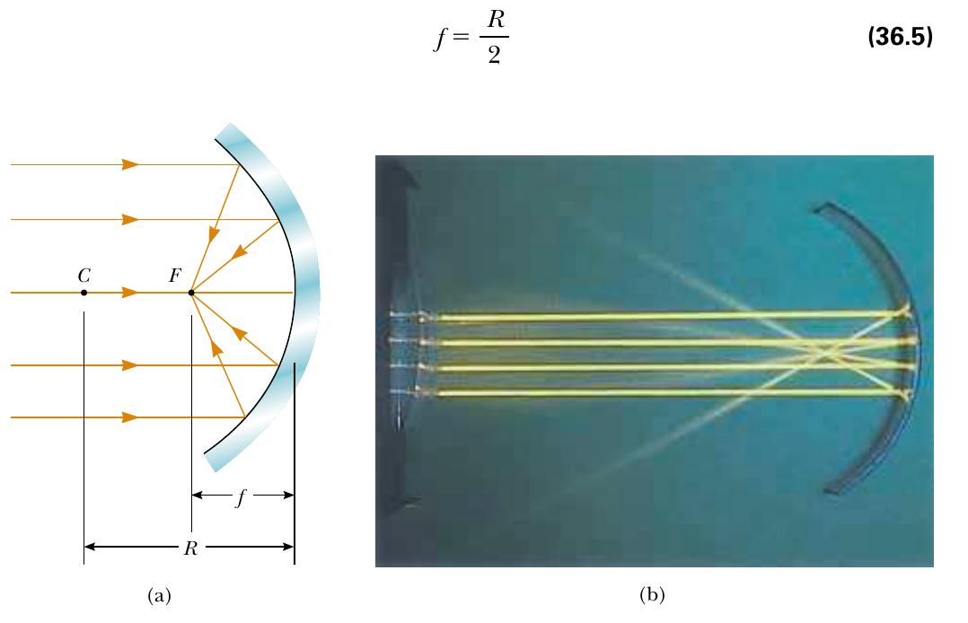 ニューバランス　スニーカー　24.0cm Mathematics Teacher's Resource Book