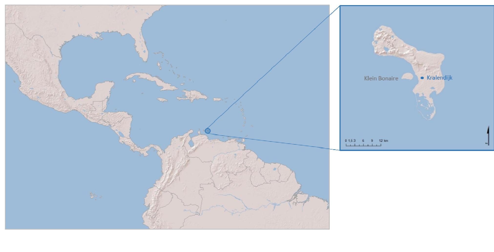 Recent Pub Music 2015 | PDF | Art, image size:2024x1035