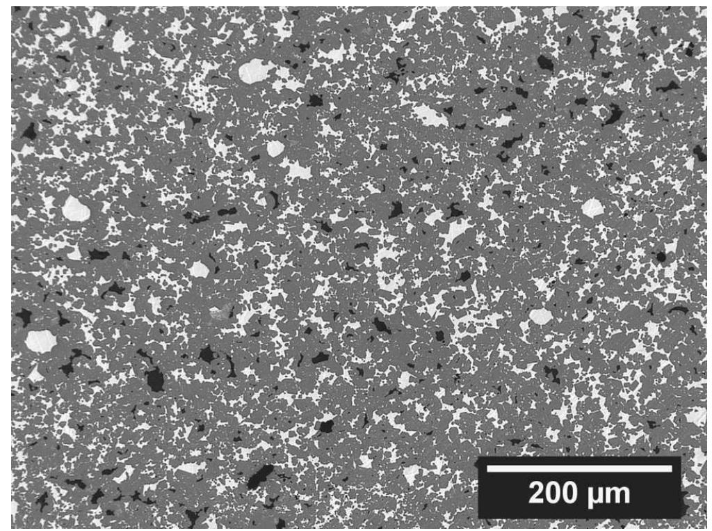Optical micrograph of a polished cross section of the