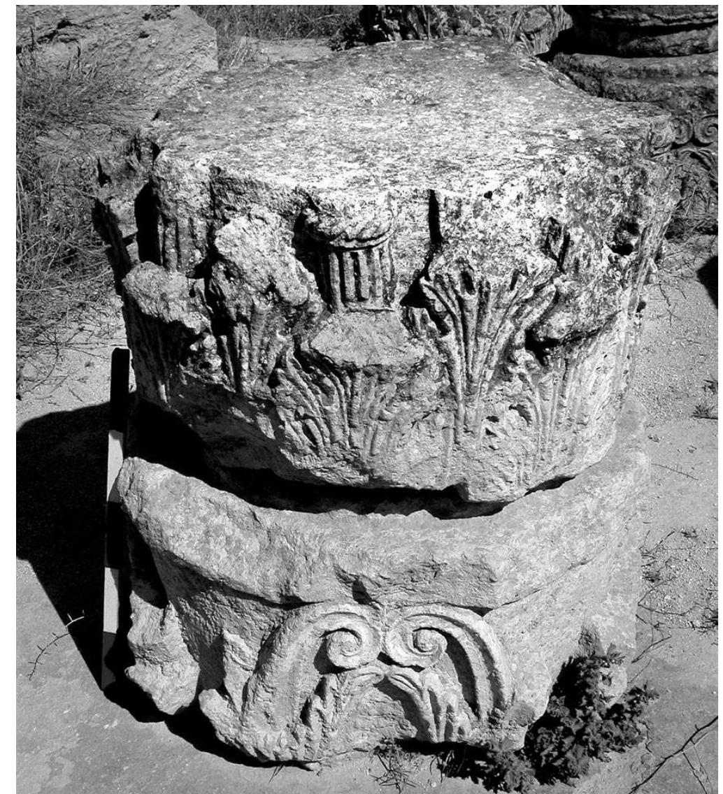 Ill. 5.14. close-up on the acanthus leaves of a corinthian