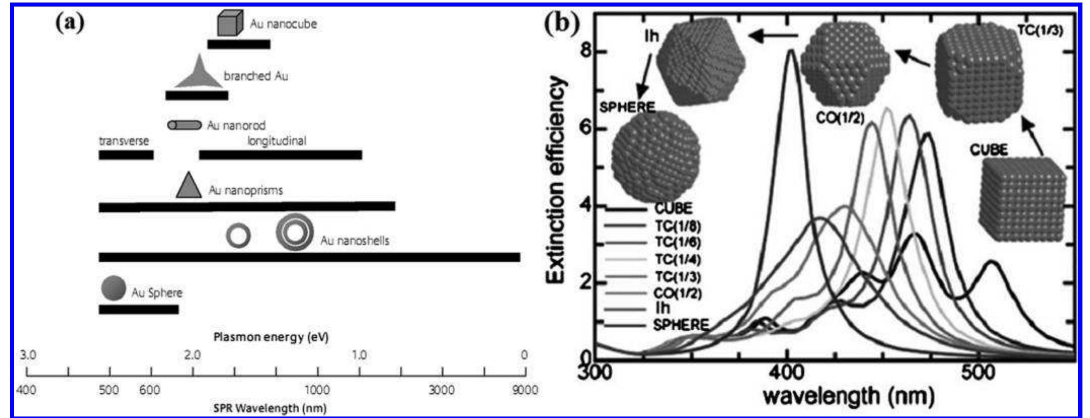 (a) range of plasmon resonance of gold nanoparticles as a