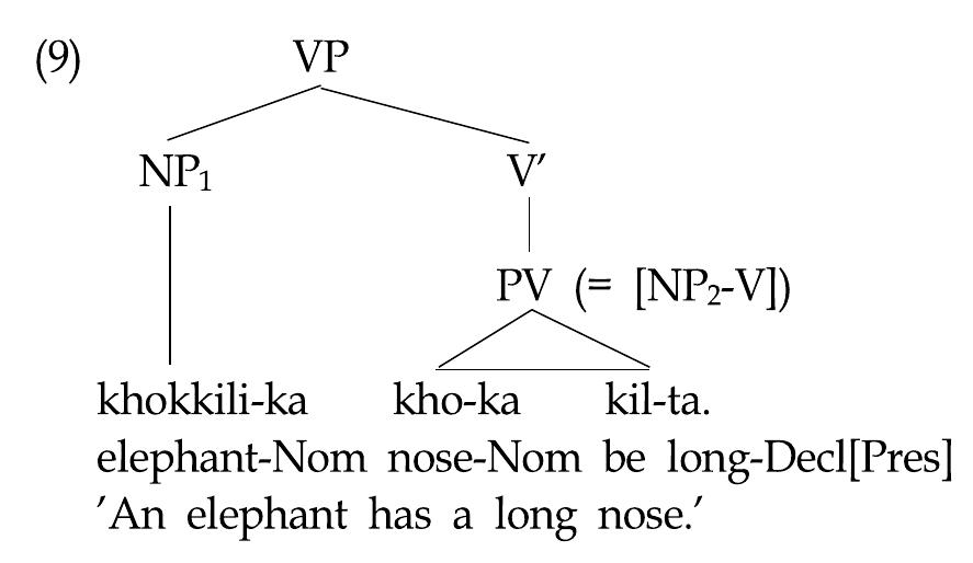 According to this analysis, the unit of [NP2-V] (e.g. [Atio-ka kil-ta) is "reanalyzed" as a verb (p. 198) and, as a new verb, obtains the property of governing a new NP (i.e. NP:). The whole unit in (9) would also have to be reanalyzed as a verb when there is another nominative NP on the left. However, let alone the plausibility of the mechanisms responsible for the reanalysis, it is not clear at all how a fully productive clause can be treated as a lexical item. Furthermore, it is assumed that any [NP2-V] units can be reanalyzed as a verb. However, we will see that only those verbal units which represent a property can trigger MNC sentences.  Not so many works are explicit about the mechanisms to account for the multiplicity of nominative (and/or accusative) NPs. M-c Ahn (2001) provides some mechanisms for a "Phrasal Verb" analysis (p. 192): 