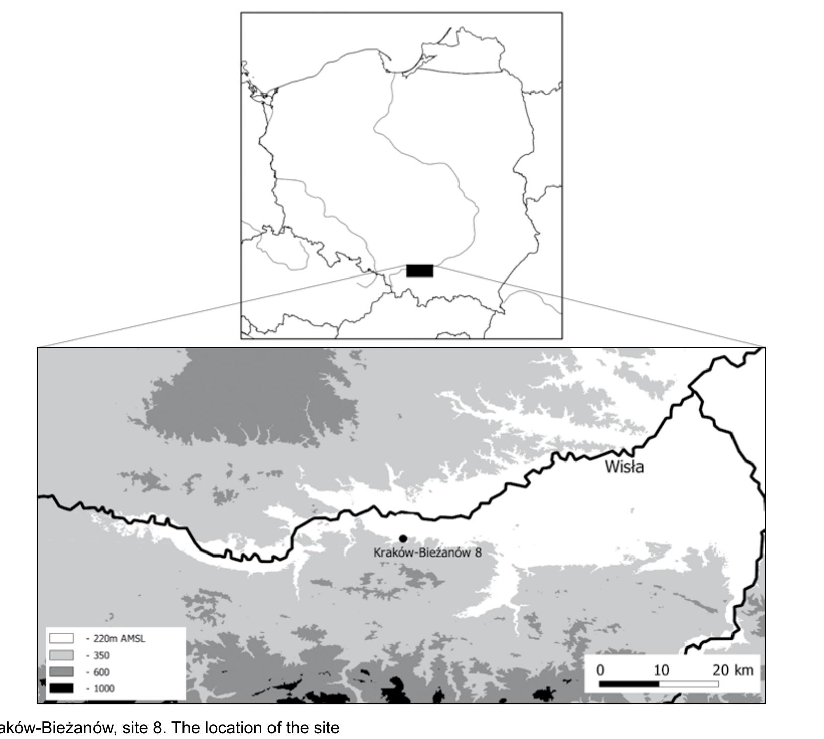 Marta Kaflinska, Irena Wojcik, Damian Stefanski