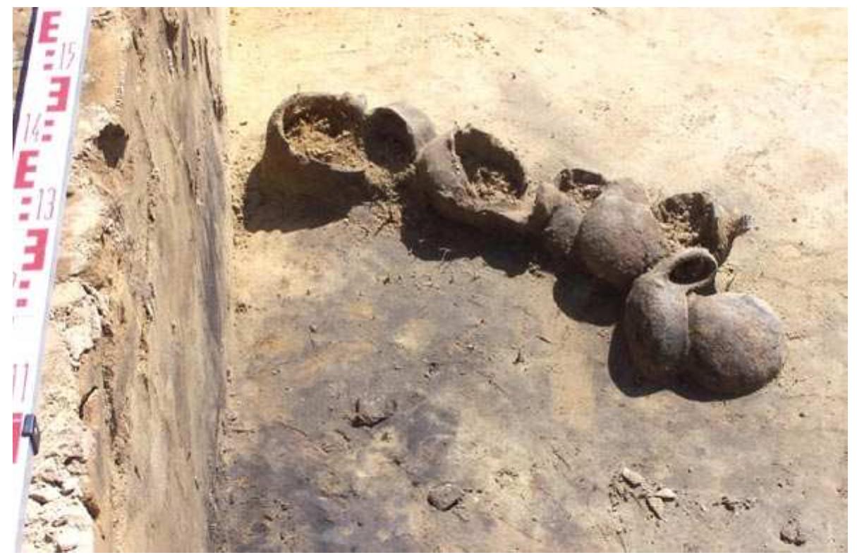 Fig. 4. Krak6w-Biezanéw, site 8. Vessels discovered in the bottom part of feature no. 422 (Photo by P. Owczarek)