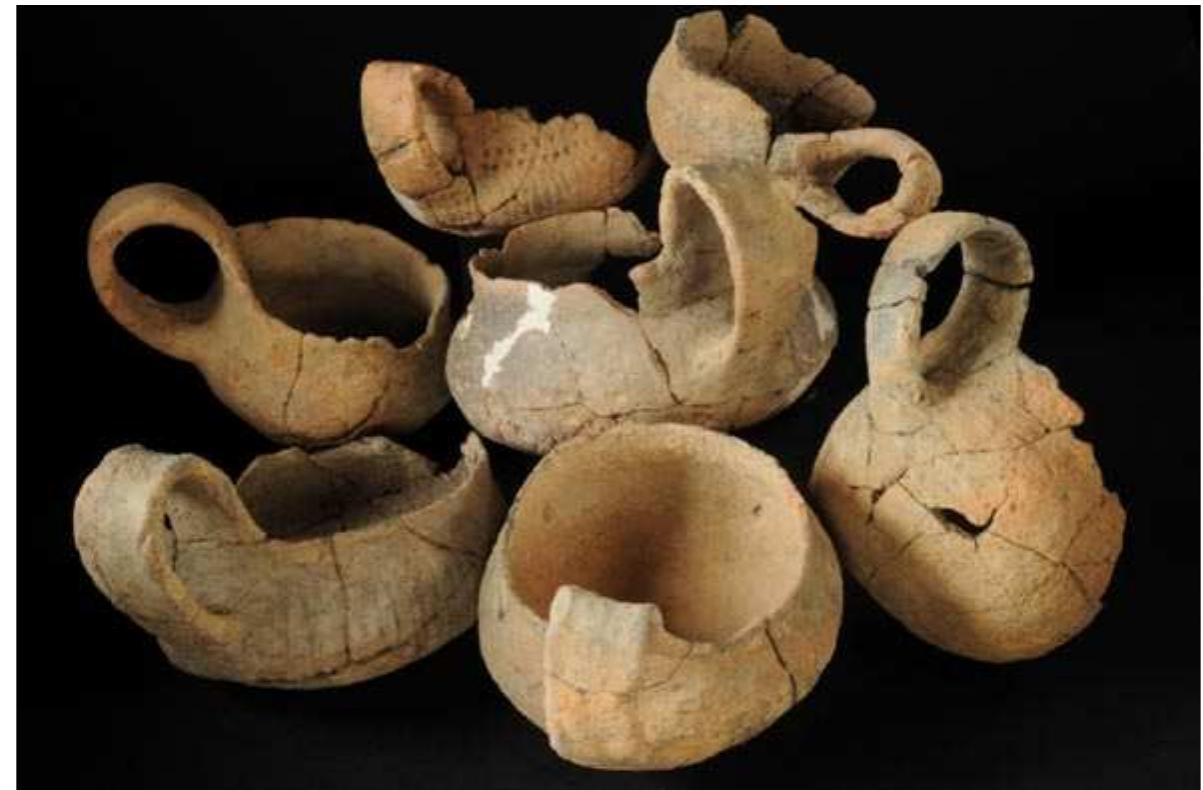 Fig. 5. Krak6w-Biezanow, site 8. Cups from feature no. 422 (Photo R. Stabonski)