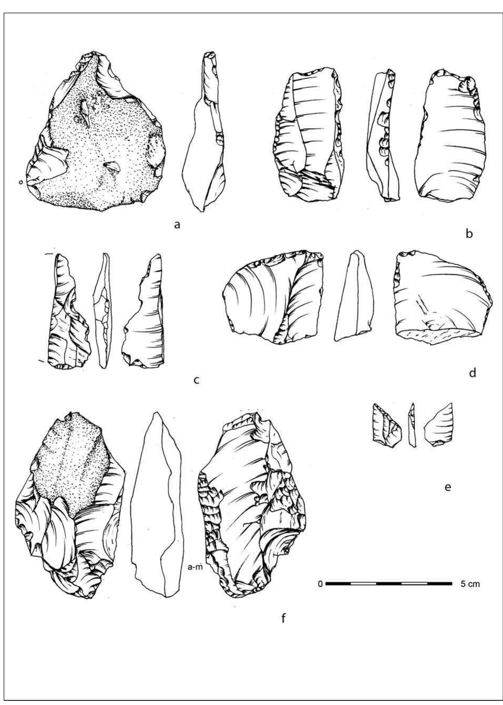 Fig. 9. Krak6w-Biezanow, site 8. Baden culture — inventory of feature 26: a—f — flint artefacts Marta Kaflinska, Irena Wojcik, Damian Stefanski