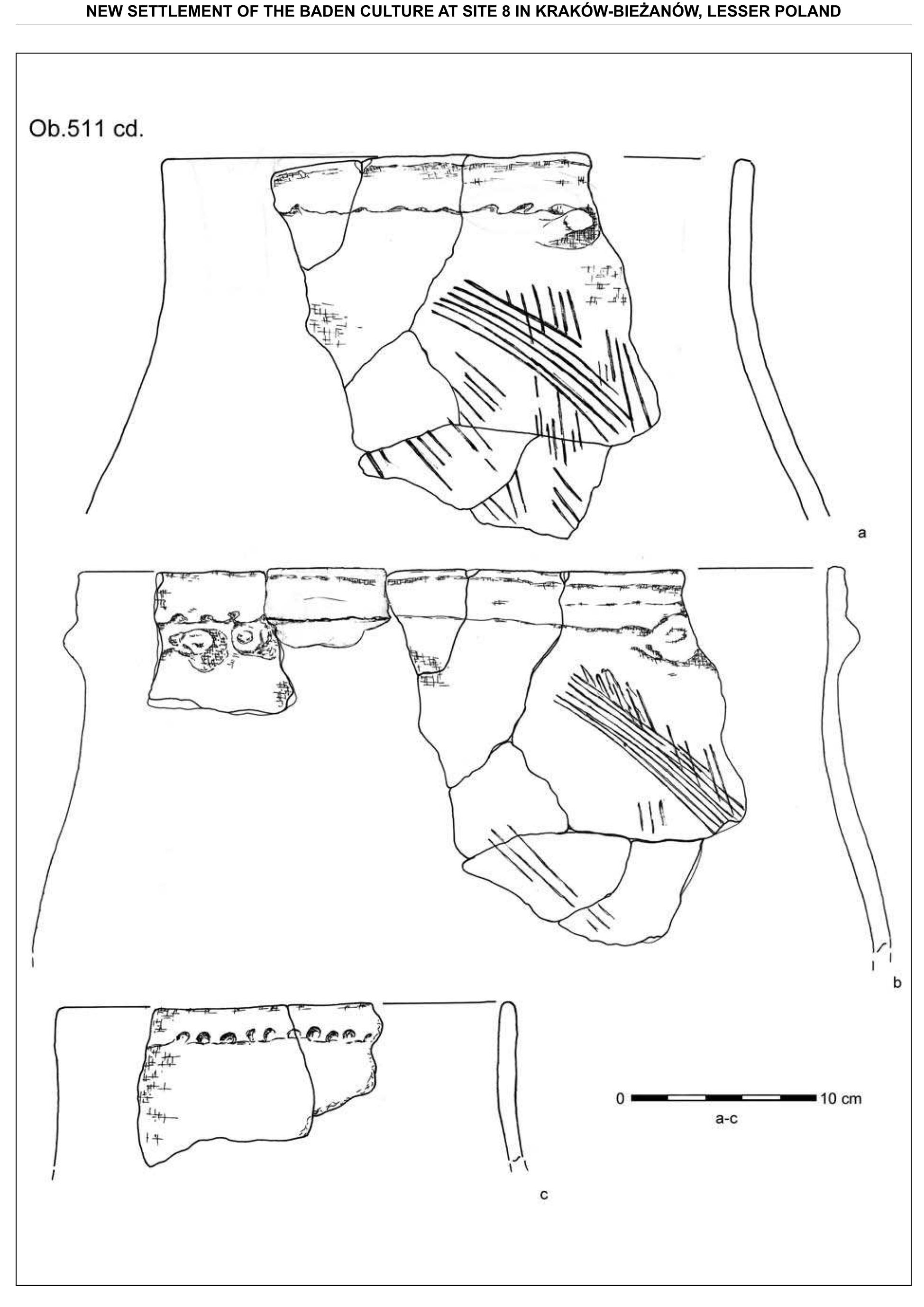 Fig. 20. Krak6w-Biezanow, site 8. Baden culture — inventory of feature 511: a-c — earthenware