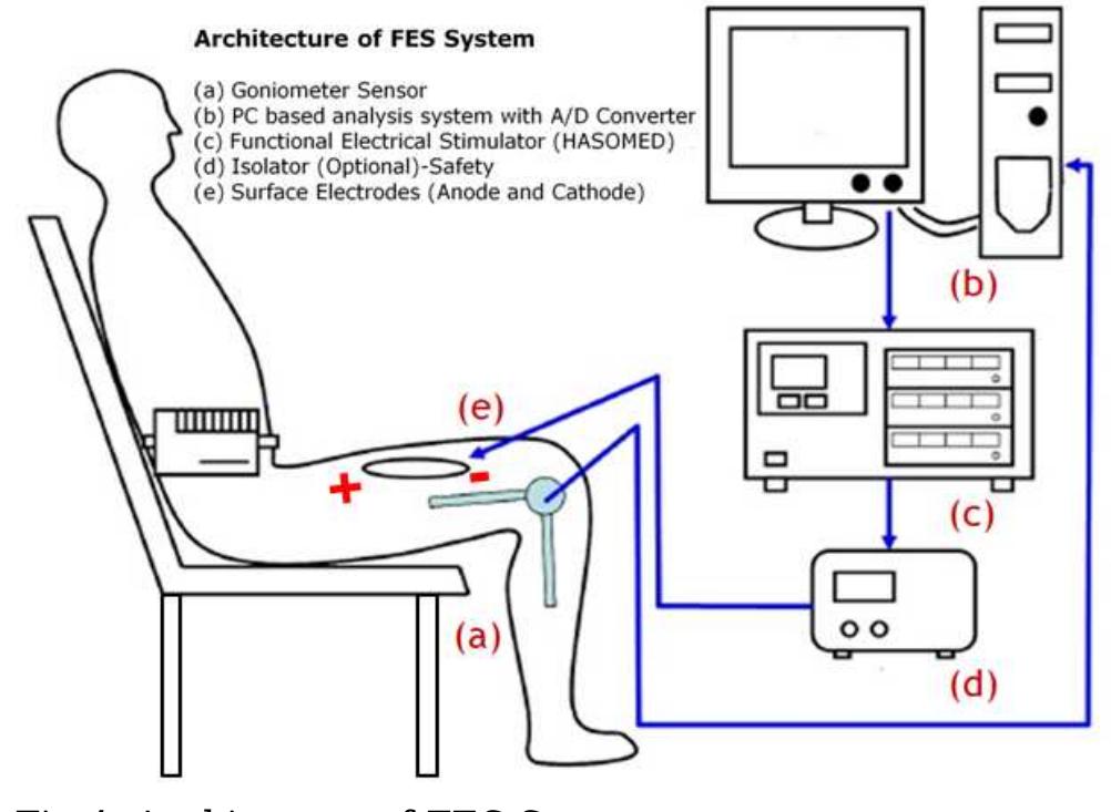 (PDF) Framework of Lower-Limb Musculoskeletal Modeling for FES Control ...