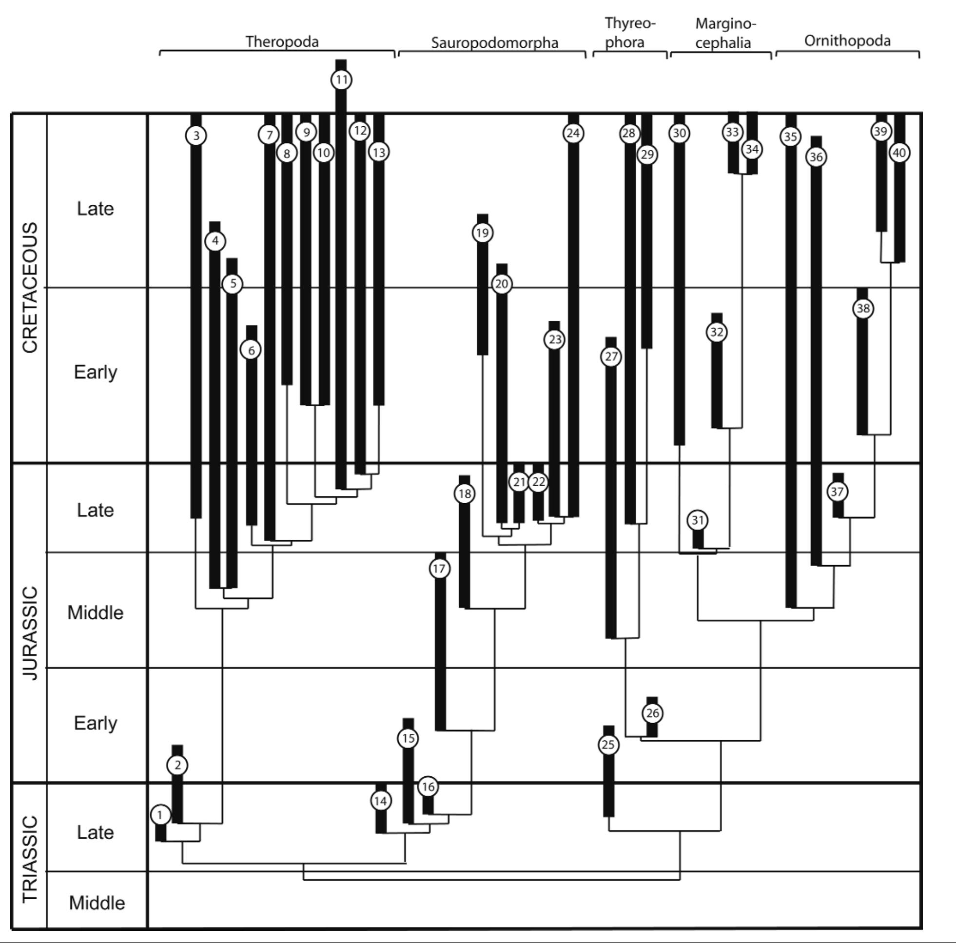 Archosaur evolution during the Jurassic: a southern perspective