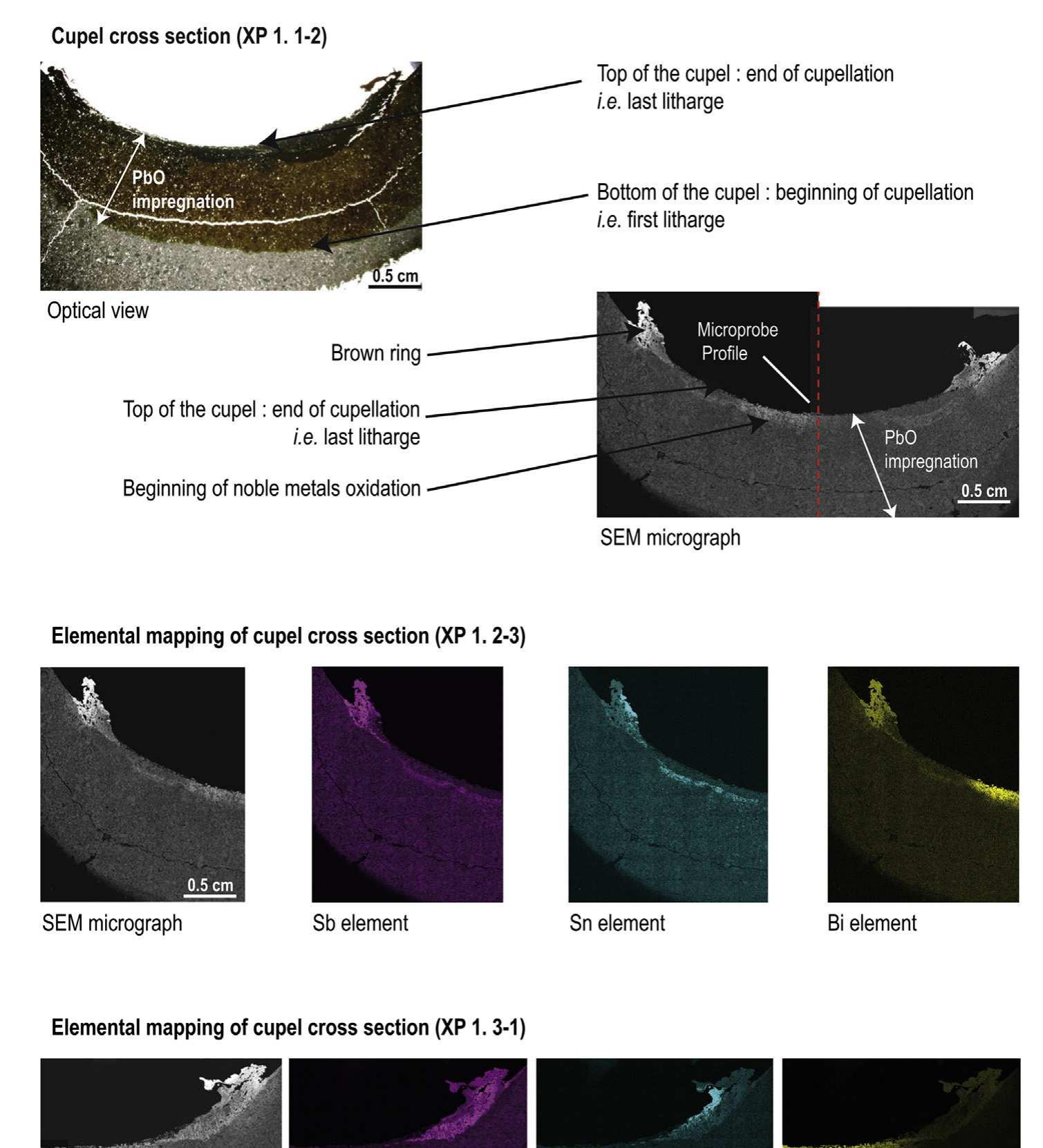 Elemental mapping of cupel cross section (xp 1. 3-1) fig. 3.