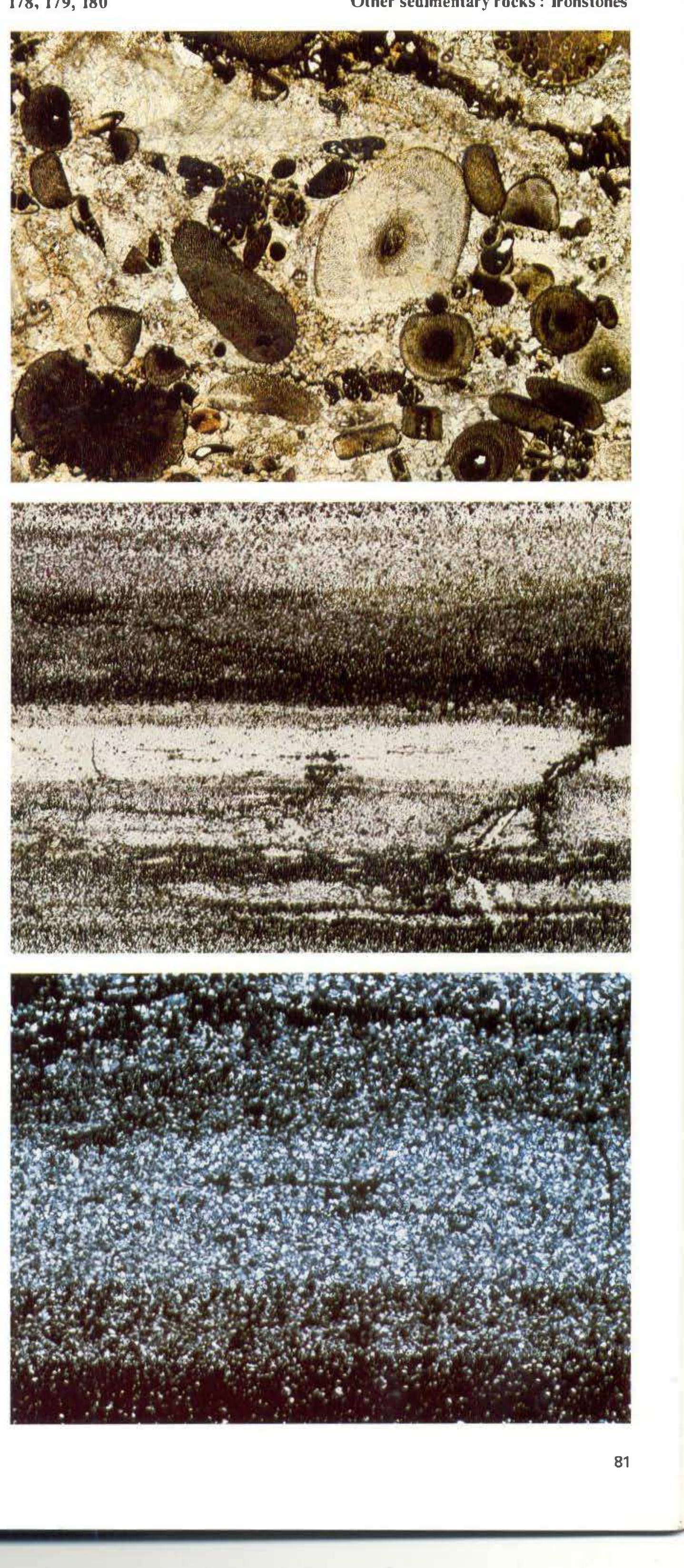 Sedamentory Rocks Figure 67 - Atlas of sedimetary rocks