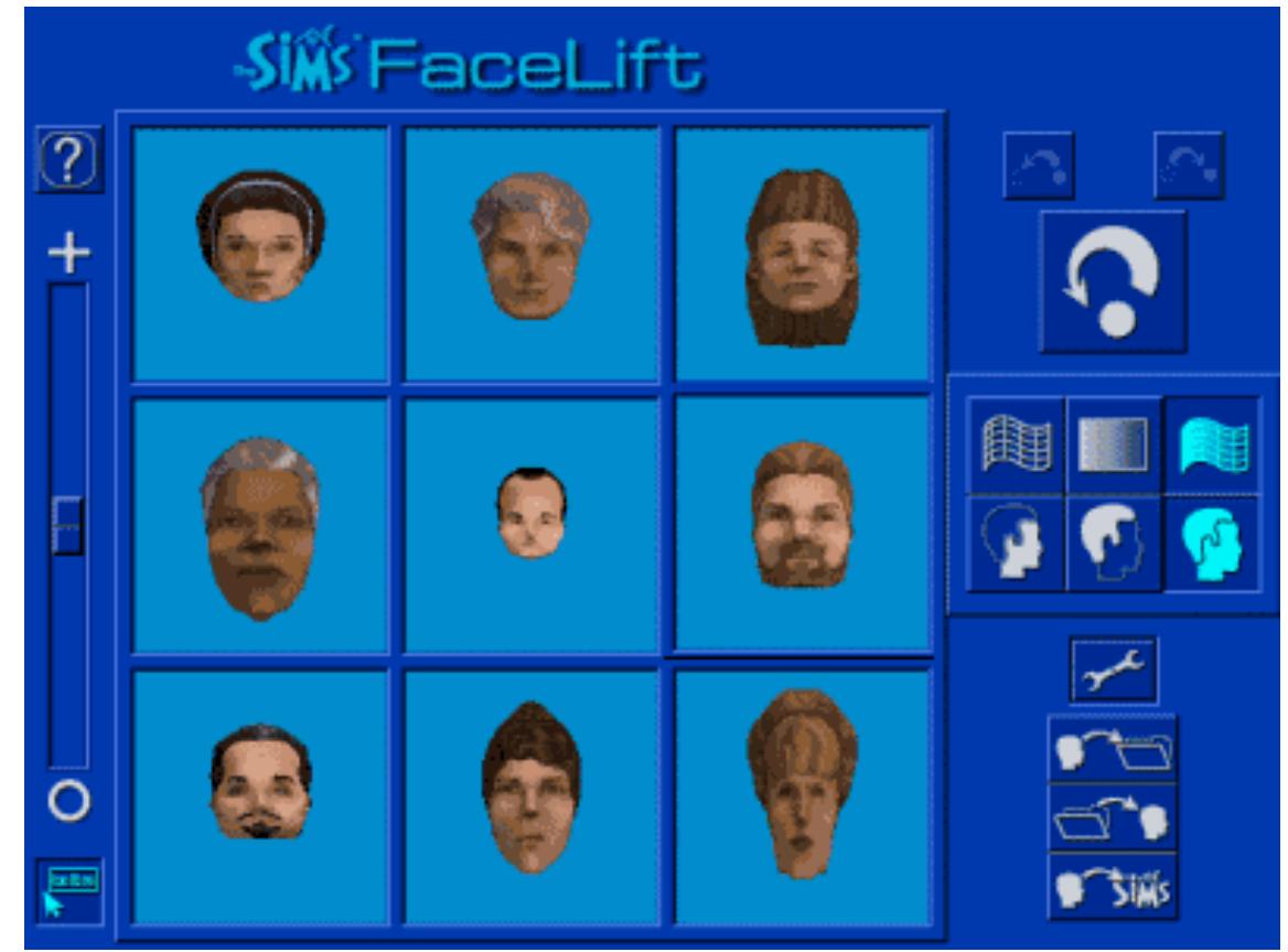 Figure 5 — A screenshot of Face Lift Gold, depicting extreme modified Sim heads. 