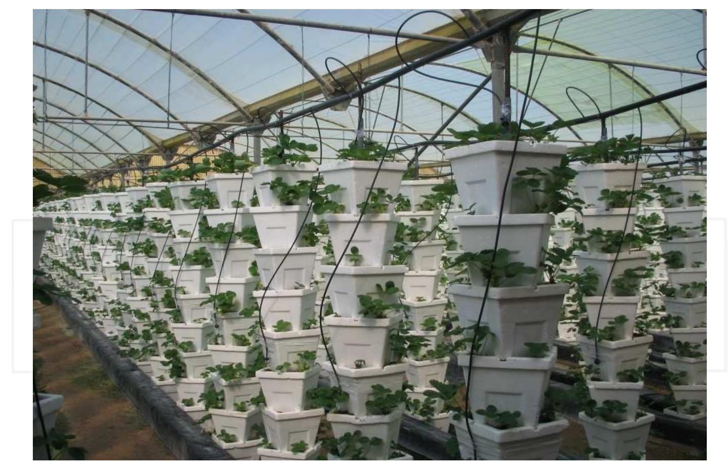 Vertical pot system (condensing system)