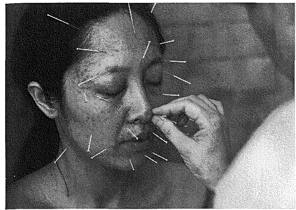 Rossiyalik juftlikni olib ketish Porno-model Jada Stivens kelishgan notanish ayol bilan avtomobil jinsiy aloqada boladi