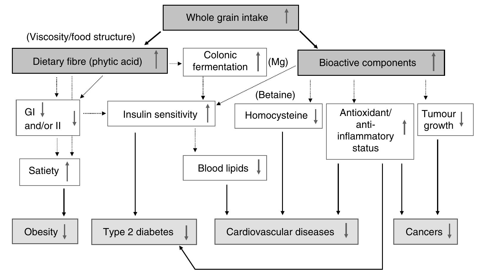 PDF) New hypotheses for the health-protective mechanisms of whole