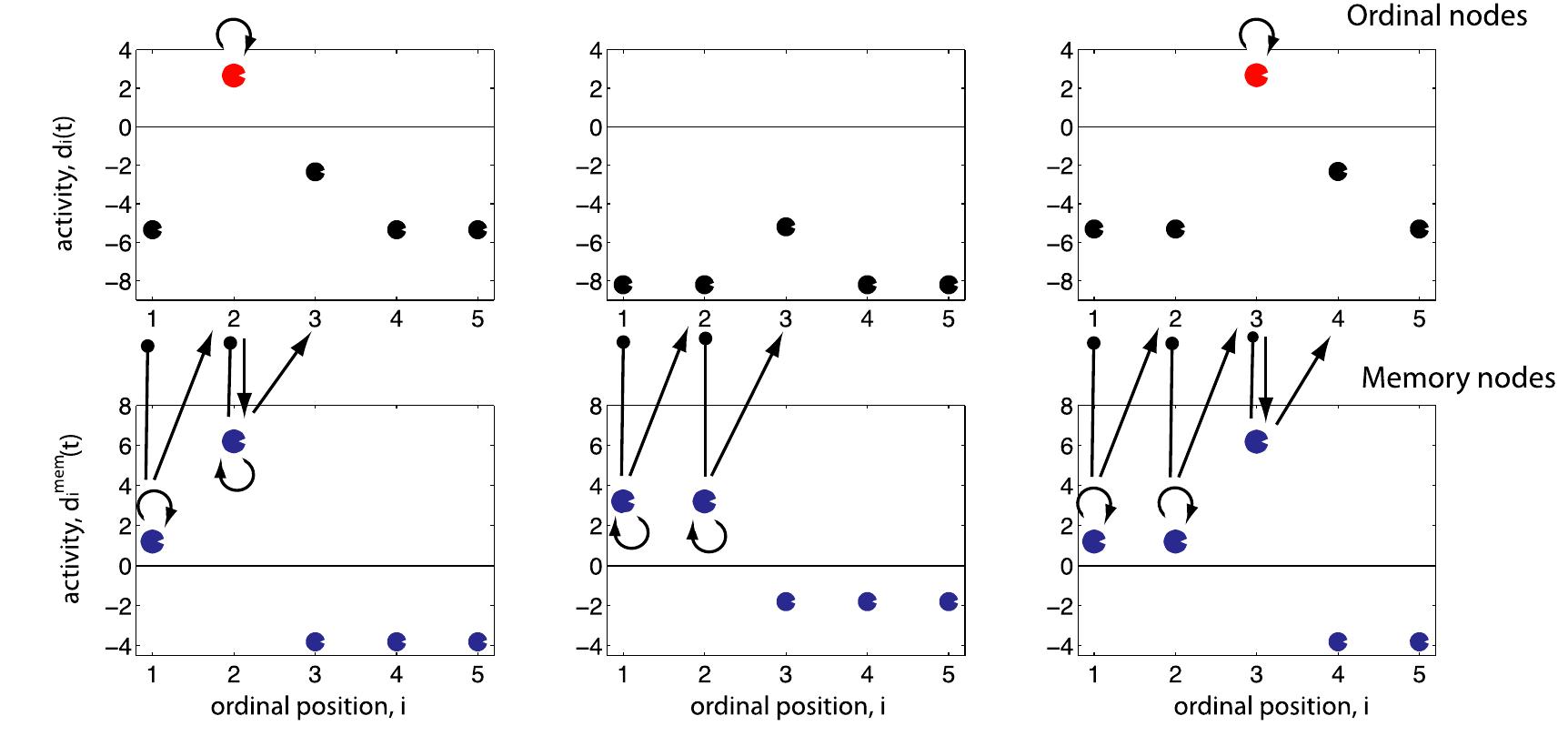 The activation levels of the five ordinal (top) and memory