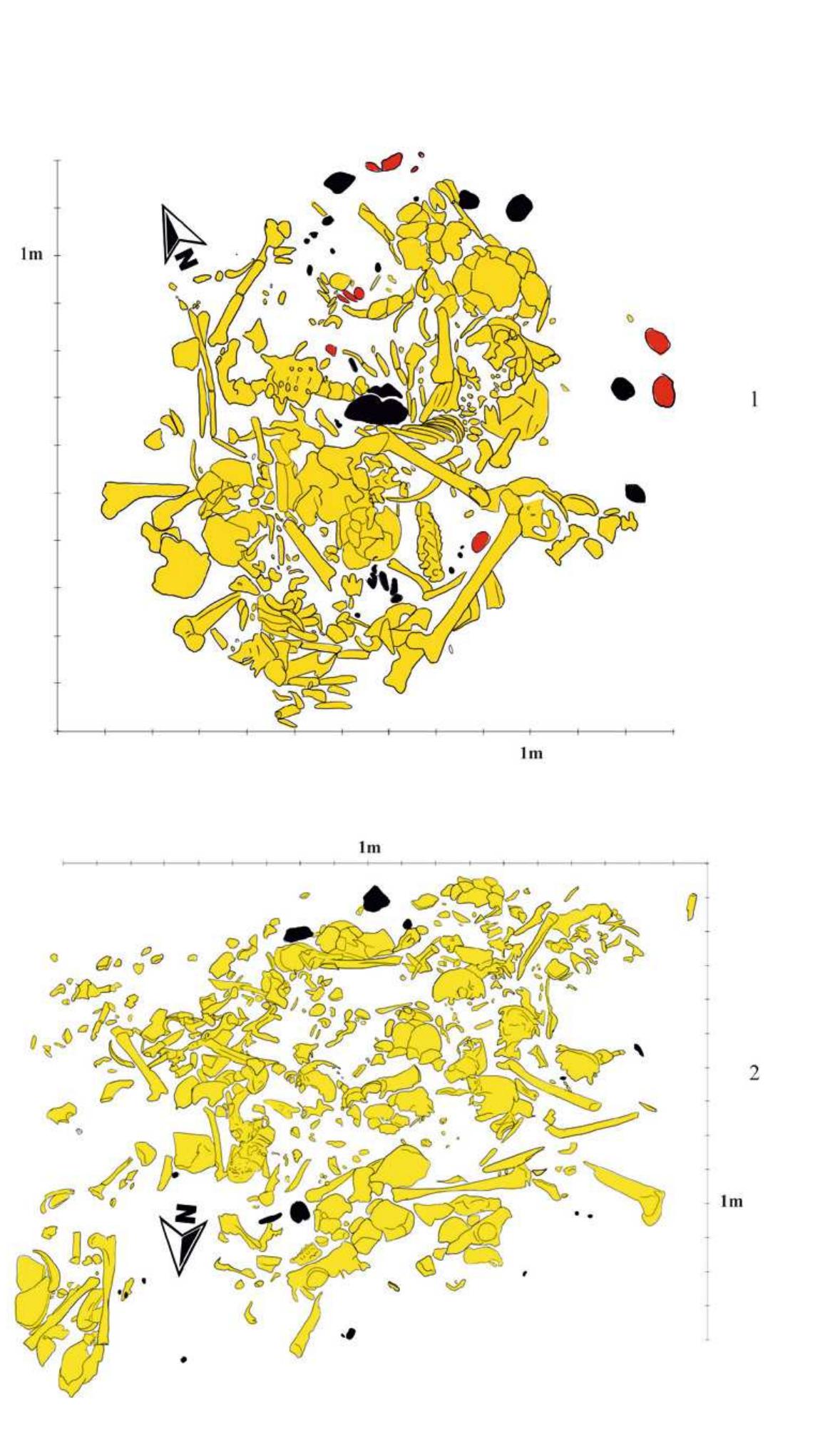 Neolithic Inhumation (PDF) M. GLIGOR, S. BACUET CRISAN (2014): INHUMATION VERSUS CREMATION ...