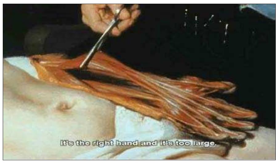 Fig. 9. (2'35”-2'38”). The hand. 