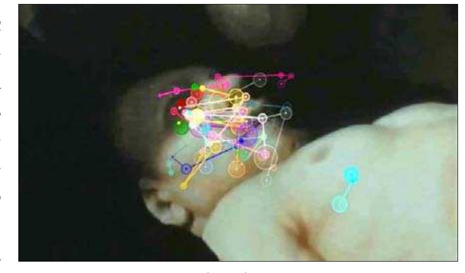 Nace tne Nate ADR D DR Be Tee SER R DeNeeRe: Reet Ne RMR Re Re Nee Rca YO ect cote be Nees: Be As Nee cB Reheat 8  The eye-tracking experiment shows that the Rembrandt painting is just an insignificant prop until the viewer's attention is drawn to it, both by verbal and visual means. It also indicates the central role of the couple energeia/enargeia, in the construction of ekphrasis. Several cues are given to the viewer: André’s verbal comment which leads to Barbara’s and thereby the viewer's clear-sightedness, the camera movements which make the viewer's gaze ideally overlap with Barbara’s, but which also guide the viewer in his/her discovery of the painting details. The verbal components of this ekphrasis cannot be separated from the visual ones. We believe that the increased eye activity at some particular points of the sequence indicates enargeia. Ekphrasis is thus a kind of embodied experience: the body responds to the elicitations coming from the media product (energeia) and the striking uniformity in the reactions of the participants suggests that the elicitations are compelling, probably due to the combined effect of all the cues. 