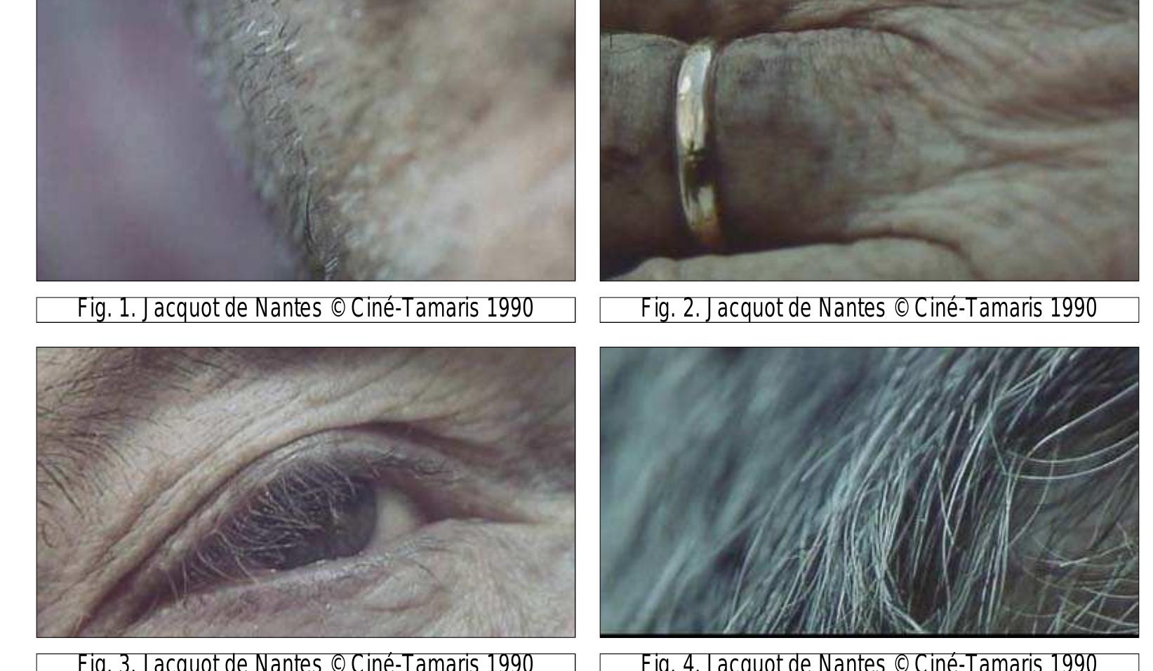 Material Culture, in which the authors remind us of the practice of creating jewellry from braided or entwined hair of departed loved ones. They comment that: “Human material that was regarded as “dead” while the person was living, is thus transformed into a “living” substance at death in the sense that it is reanimated as a possession capable of sustaining the deceased in close proximity to the bereaved” (Hallam and Hockey 2001: 136). In Jacquot de Nantes, Varda recalls and reinvents a memorial practice. She does not literally make jewelry from Demy’s hair, but captures it on film in images which, like the commemorative jewelry, speak both of the mortality of the body and its animation in mourning art. (103)  Yet Varda does not mourn alone—rather, she invites the spectator to touch Demy’s dying body with a tactile eye, to join her in the act of cherishing something about to be lost. And in doing so, the viewer does not merely look at the images, but feels them intensely. These images “touch” us touching them and the sense of loss is enormous as we are brought into close contact with a body that is very much alive but on the brink of disappearing. Thus, by bringing the spectator’s tactile eye directly to the surface of the film and onto the skin of its subject, Varda creates a haptic relationship between viewer and image in which, according to Laura Marks, “our self rushes up to the surface to interact with another surface. When this happens, there is a concomitant loss of depth—we become amoeba-like, lacking a center, changing as the surface to which we cling changes. We cannot help but be changed in the process of interacting” (Touch xvi). In engaging haptically with the images of Demy, we are changed affectively and slightly bruised from the contact with and recognition of our own mortality. This 