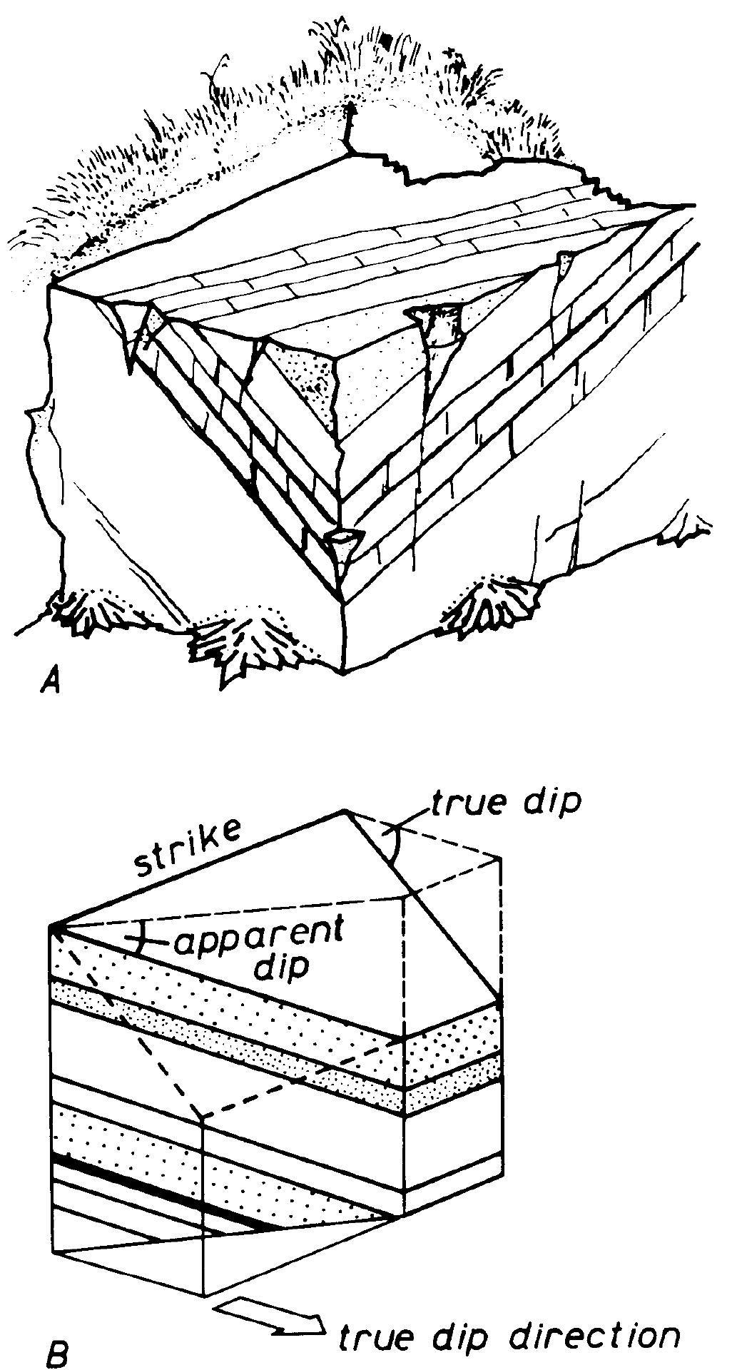 7 relationship between apparent dip and true dip. when