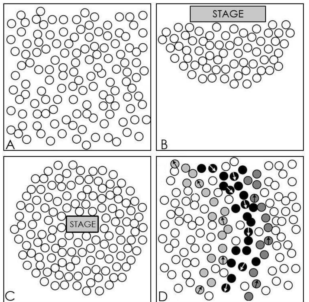 Diagram: an overview of some typical behavior patterns
