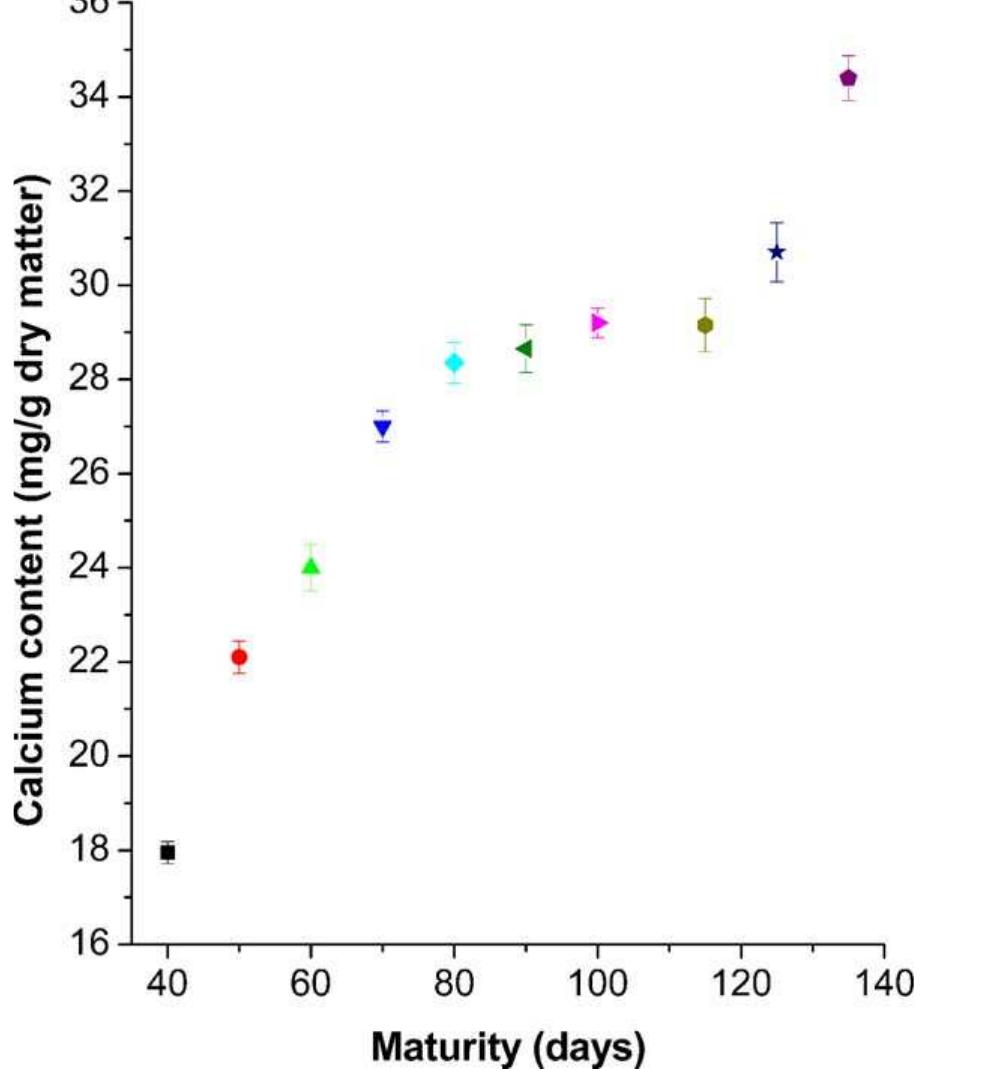 Figure 1 - from Evaluation of oxalates and calcium in nopal
