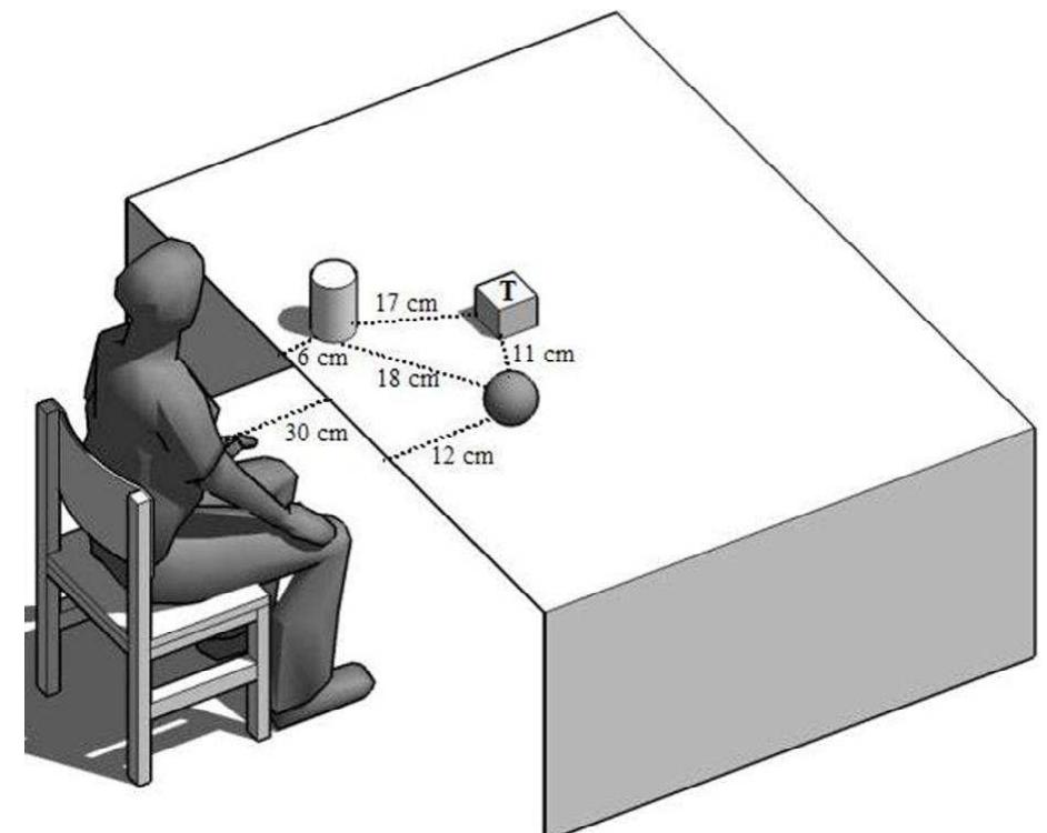 (PDF) Spatial memory: the role of egocentric and allocentric frames of ...
