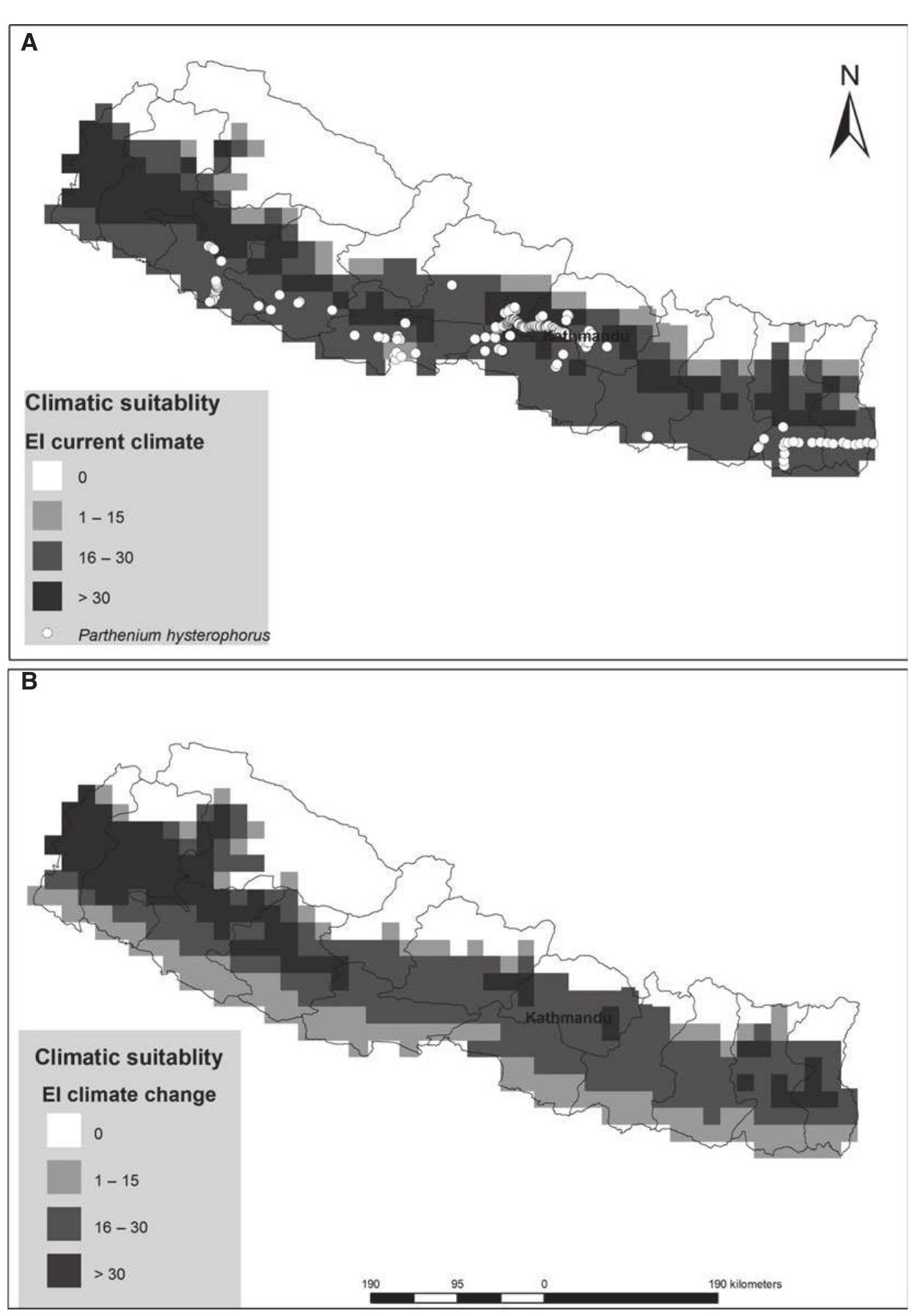 (PDF) Parthenium hysterophorus in Nepal: a review of its weed status ...