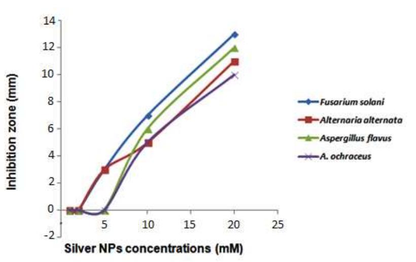 (PDF) Extracellular Synthesis of Silver Nanoparticles by Aspergillus ...