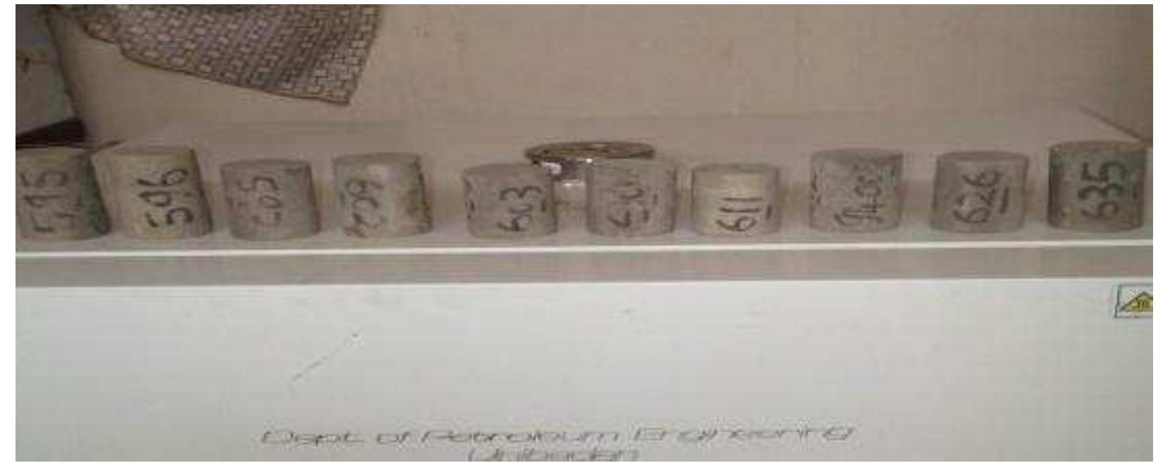 Fig. A-1. Core plugs for the study 