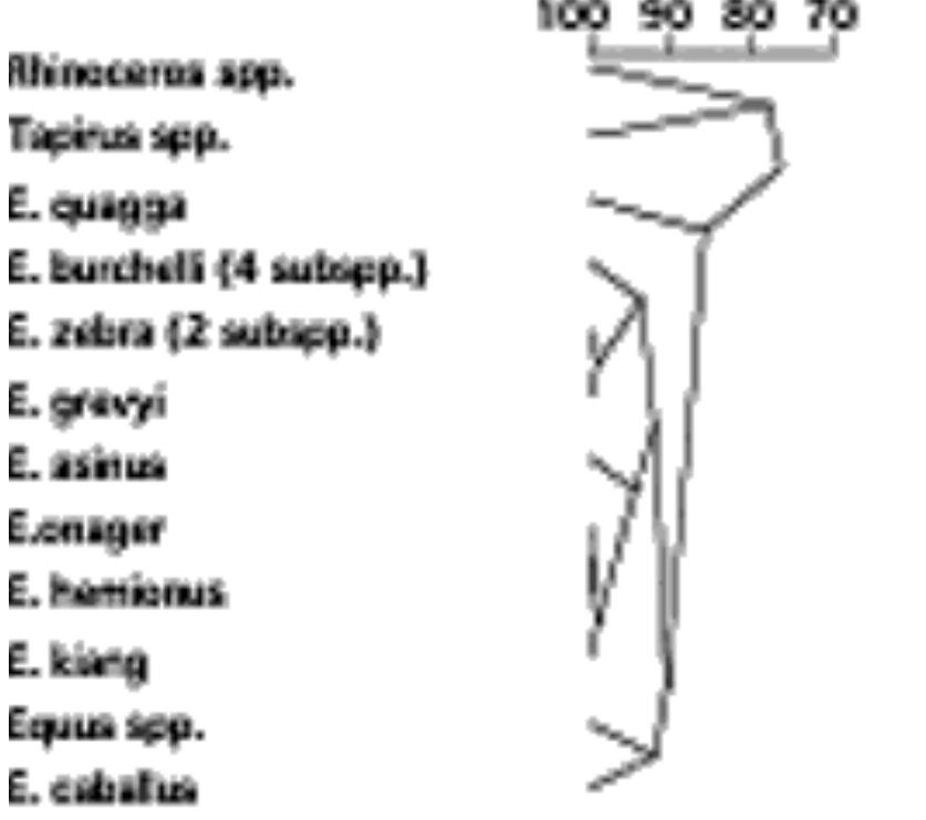 (PDF) The Use of Repertory Grid Analysis in Studying Students ...