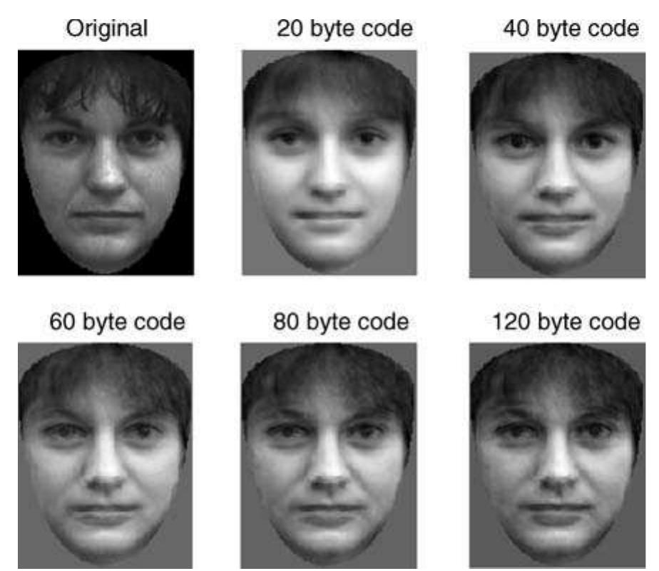 Figure 147 - Digital Image Processing ( Examples in Matlab)