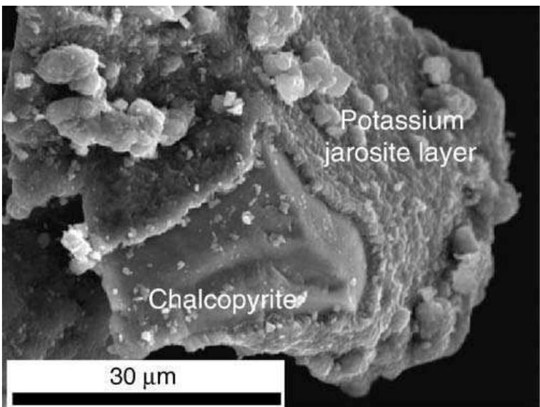 (PDF) Leaching of chalcopyrite with ferric ion. Part I: General aspects