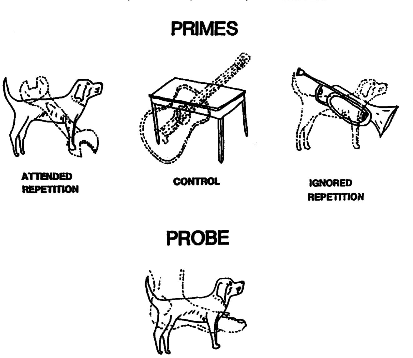 Figure 1 - from Selective attention: A reevaluation of the