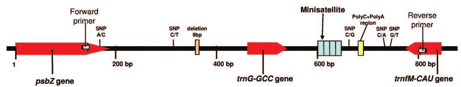(PDF) DNA barcoding: a practical tool for fundamental and applied ...