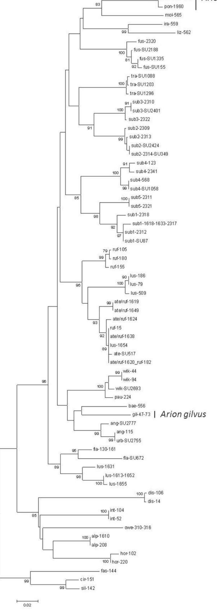 (PDF) DNA barcoding: a practical tool for fundamental and applied ...