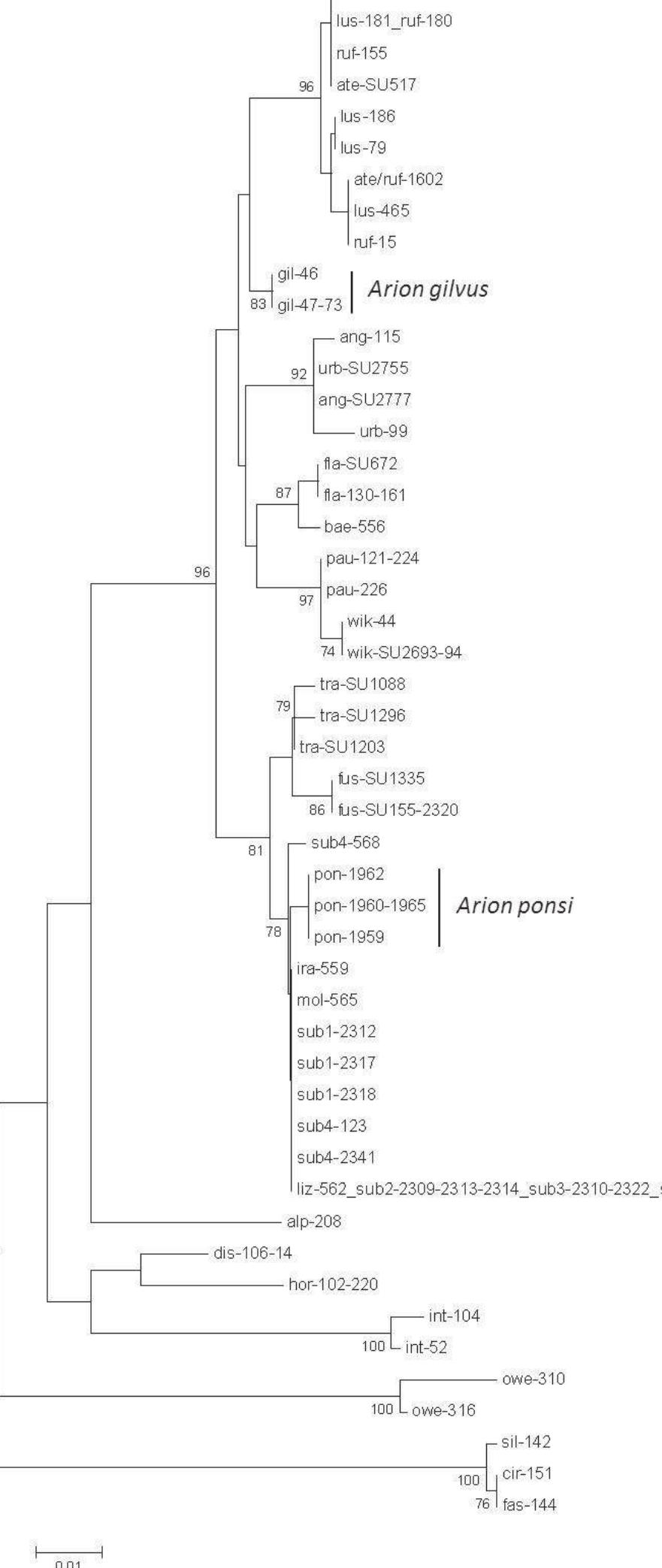 (PDF) DNA barcoding: a practical tool for fundamental and applied ...