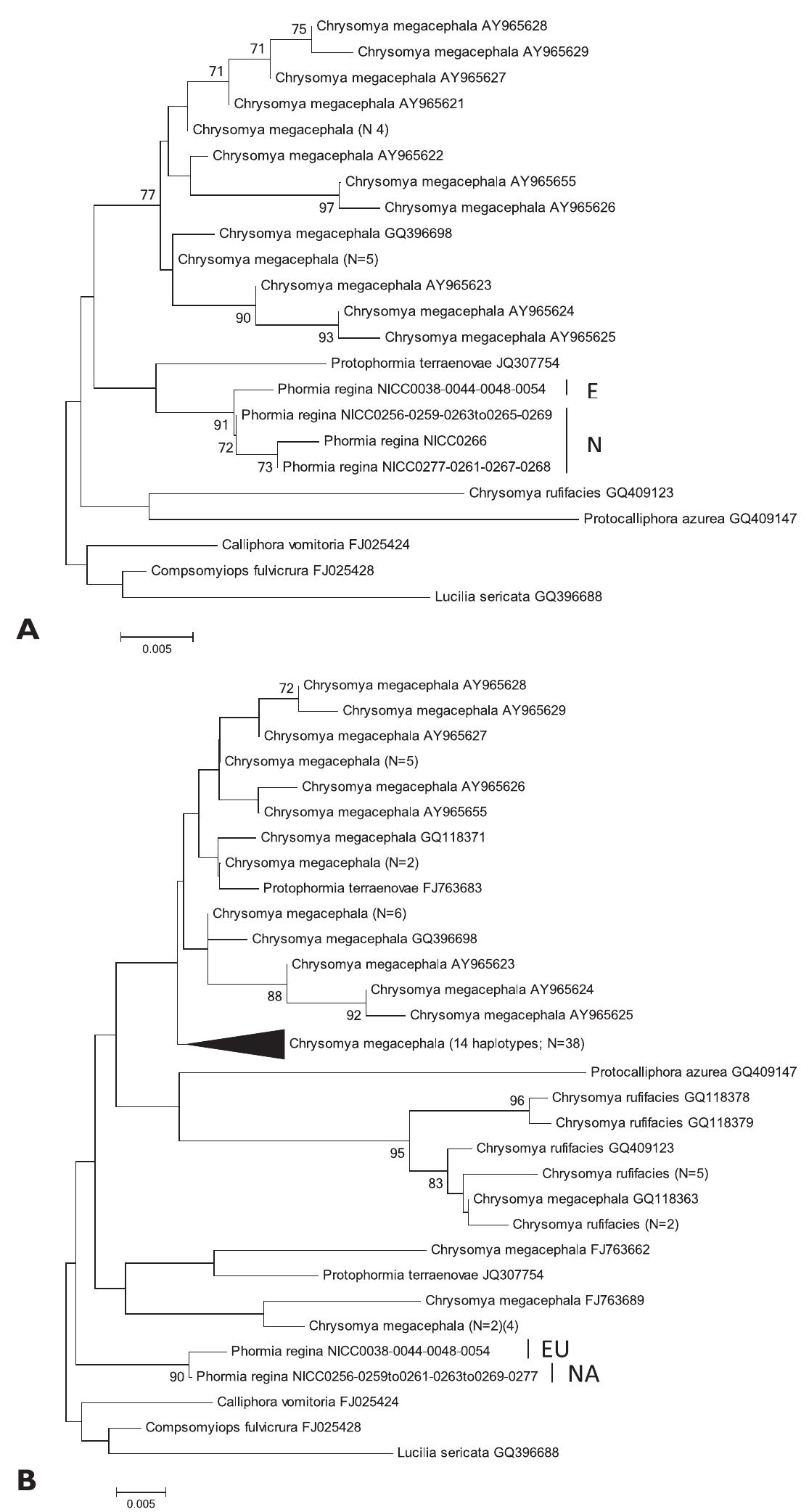 (PDF) DNA barcoding: a practical tool for fundamental and applied ...