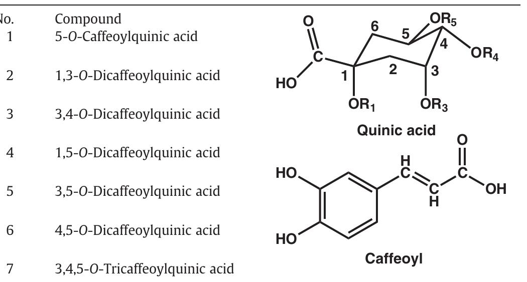 Chemical structures of the caffeoylquinic acids quantified.
