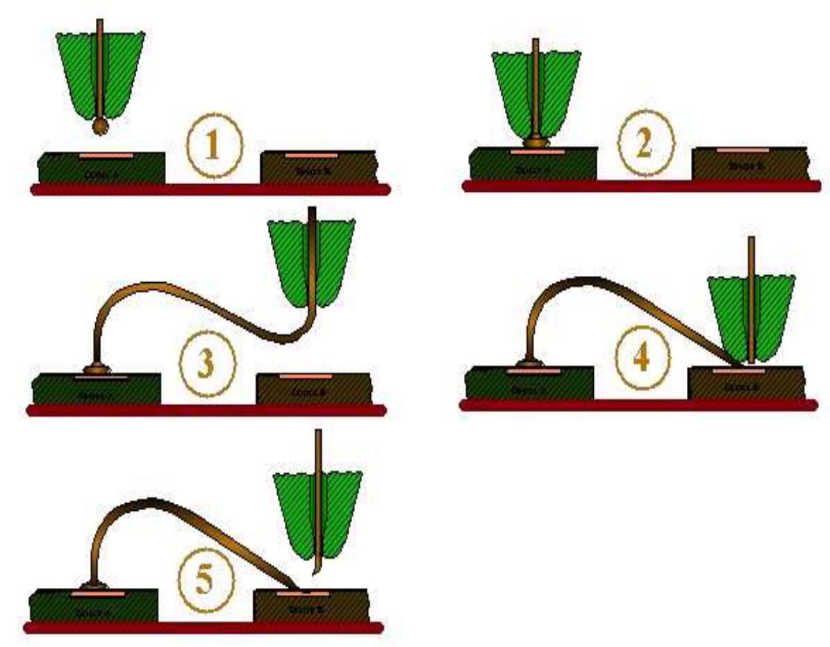 the wedge bond is made, the capillary is raised and the wire is torn off from the bond. The next cycle will then start with an EFO firing [4]. A typical wire bonding cycle is shown in Figure 1. 