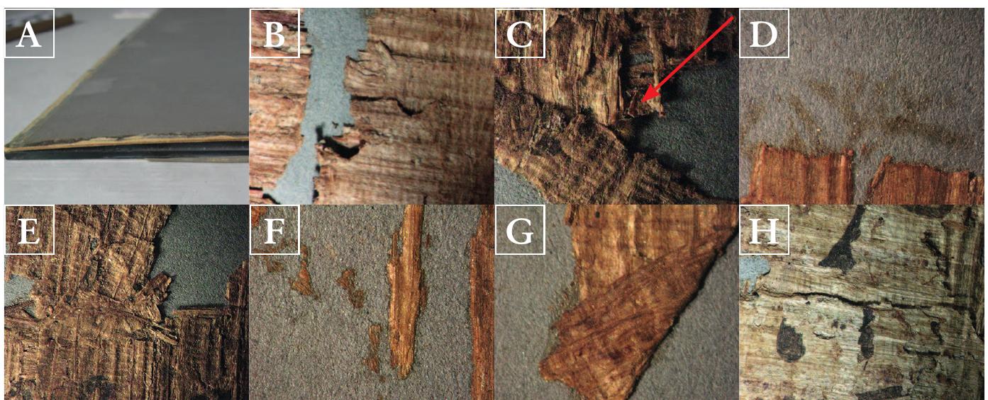 Distressed Papyrus (PDF) REMOVAL OF THE POOR QUALITY BACKING OF A PAPYRUS OF A DIOSCORIAN ...