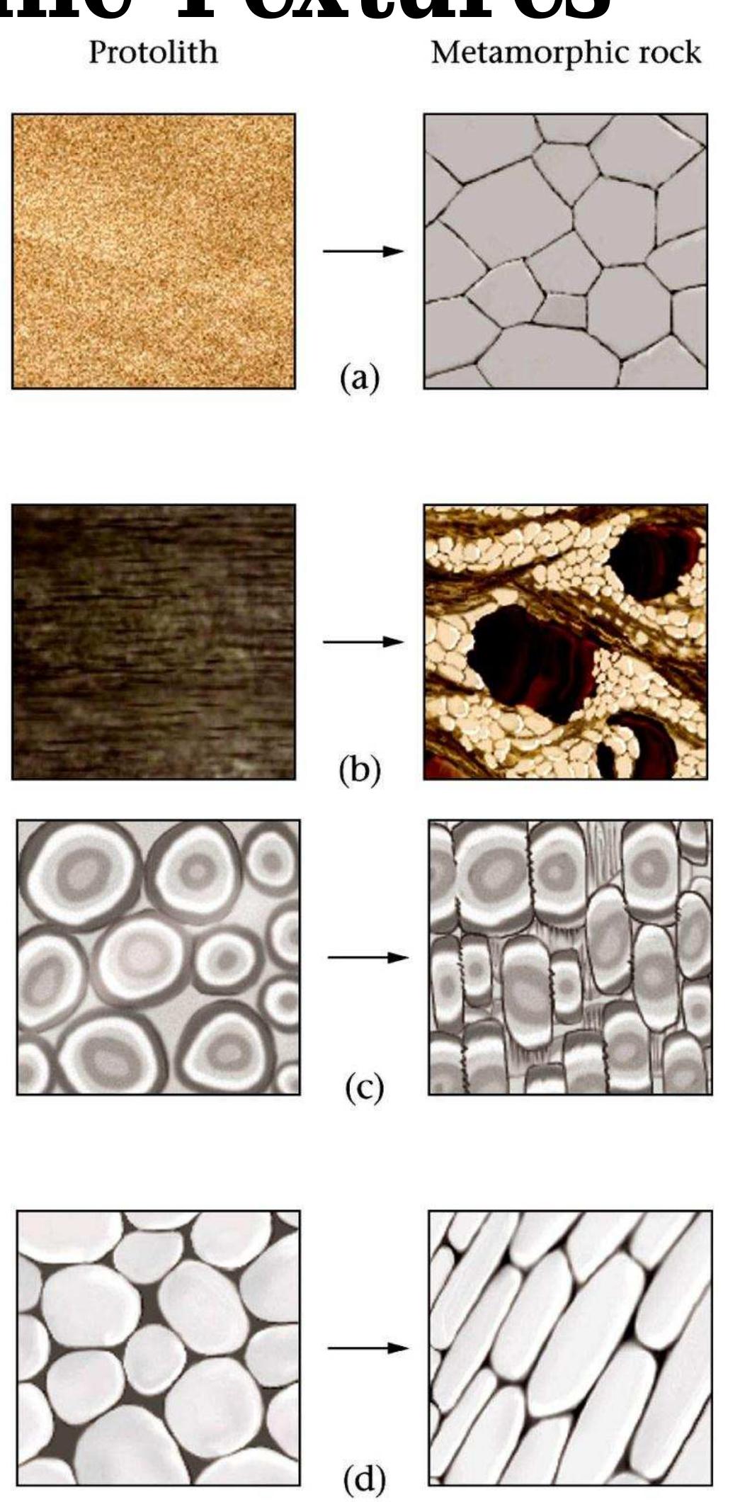 Metamorphic Roots Figure 13 - Metamorphic Rocks